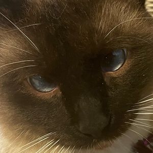 Meet your Posher, Wendy